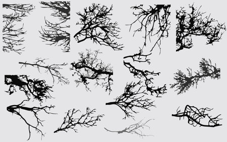 Collection of tree branches silhouettes. Vector illustration for your design.のイラスト素材