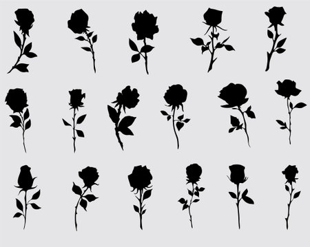 Black rose silhouettes isolated on white background. Vector illustration. EPS 10のイラスト素材