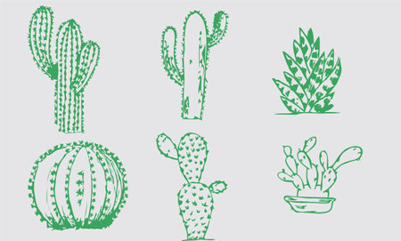 Cactus set. Hand drawn cactuses. Vector illustration.のイラスト素材
