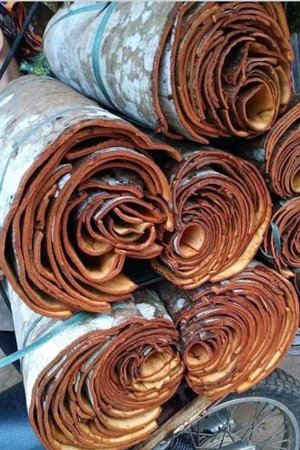 Rolls of brown paper for sale in the street market, Thailandの写真素材