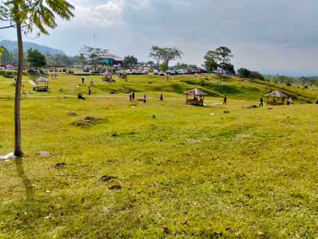 Camping on the mountain in the north of Thailand, Asia.の写真素材