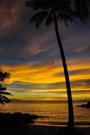 Coconut tree and sunset at Koh-Kood in Trad , Thailand の写真素材