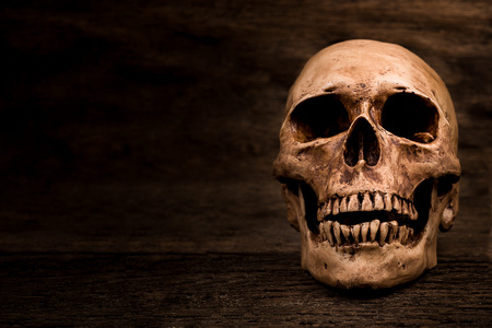 Human skull on wood backgroundの写真素材