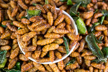 stir fried silkworms Thai food