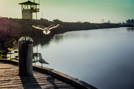 Sea view Sunset time at St Kilda Beach, Melbourne Australiaの写真素材