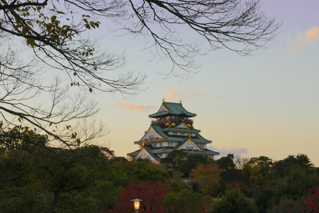 Osaka Castle with Dead tree in winterのeditorial素材