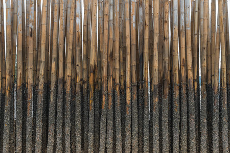 strong bamboo protect sand from sea waveの写真素材
