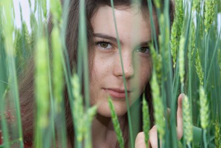 Beautiful girl in green field of wheatの写真素材