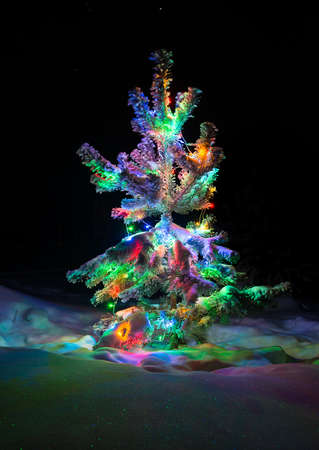 Shining lights of a natural Christmas tree covered snow. New years night black outdoor background.の写真素材