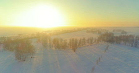 Aerial drone view of cold winter landscape with arctic field, trees covered with frost snow and morning sun rays over horizon. Extreme weather.の写真素材