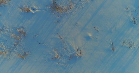 Aerial drone view of cold winter landscape with arctic field, trees covered with frost snow and morning sun rays over horizon. Extreme weather.の写真素材