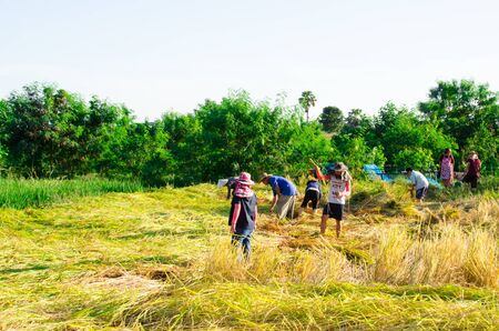The culture life of farmer live with nature in Asia.のeditorial素材