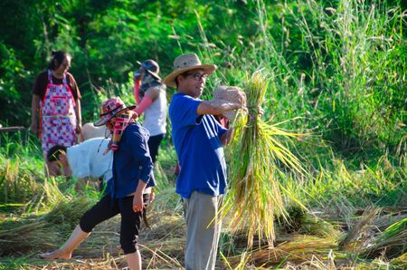 The culture life of farmer live with nature in Asia.のeditorial素材