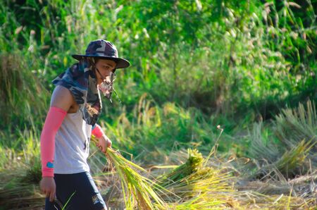 The culture life of farmer live with nature in Asia.のeditorial素材