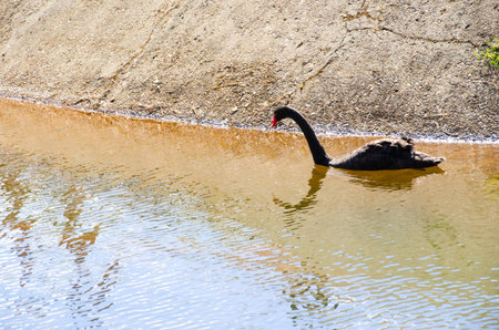 The,Magic,Temple,Along,water,Fantastical.,sky,Happy,Peopleの写真素材