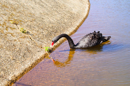 The,Magic,Temple,Along,water,Fantastical.,sky,Happy,Peopleの写真素材