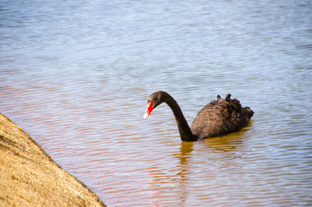 The,Magic,Temple,Along,water,Fantastical.,sky,Happy,Peopleの写真素材