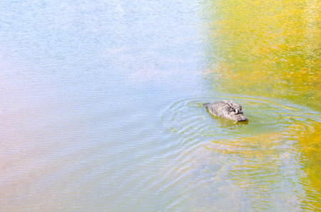 The, Magic, Temple, Along, water, Fantastical., Happy, Life, People, Are, Make, Meritの写真素材
