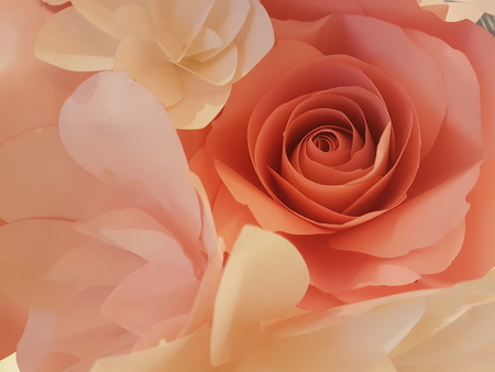Beautiful paper rose background, valentine conceptの写真素材