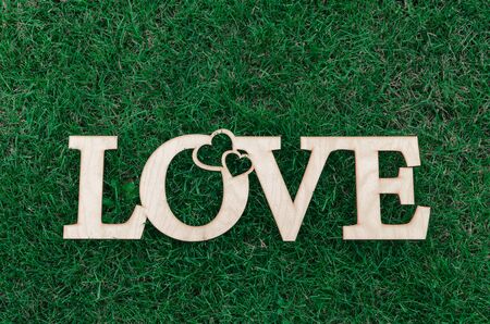 the inscription and love heart wood on the green grassの写真素材