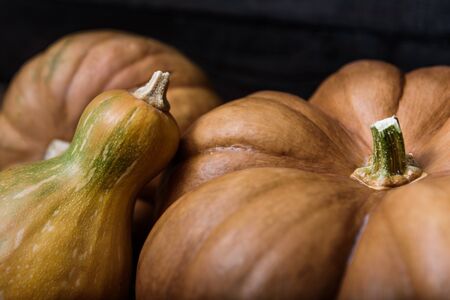 pumpkins lying on a wooden tableの写真素材