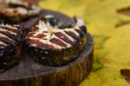fish steaks fried on the grill lying on tree trunk against the yellow maple leavesの写真素材
