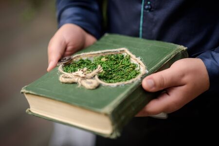 the substrate for wedding rings in the form of a book with grass in the hands of men, wood weddingの写真素材