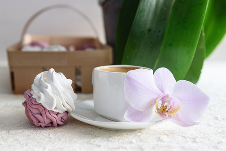 marshmallows handmade white and pink in a tray made of wicker, laceの写真素材