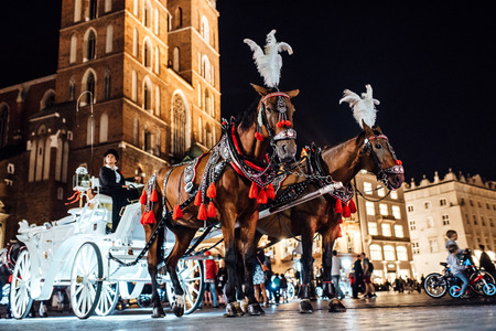 The old square of the night krakow with luminous horse-drawn carriagesのeditorial素材