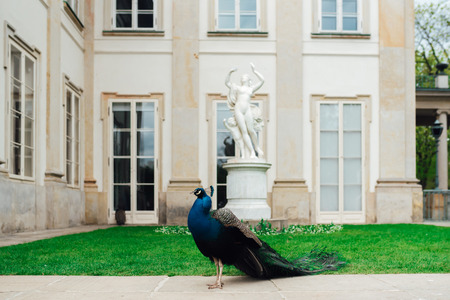Ancient palace and park ensemble of Lazienki in Warsaw Polandの写真素材