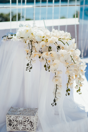 wedding ceremony area, arch chairs decorの写真素材