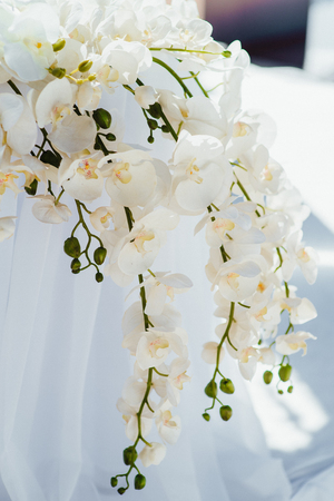 wedding ceremony area, arch chairs decorの写真素材