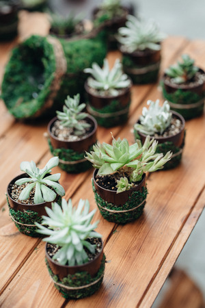 wedding decor with natural elementsの写真素材