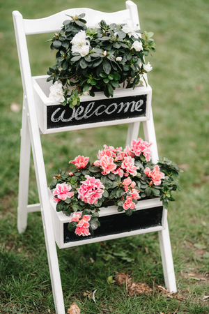 wedding decor with natural elementsの写真素材