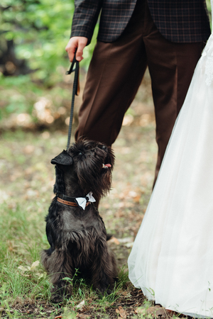 black terrier next to a manの写真素材