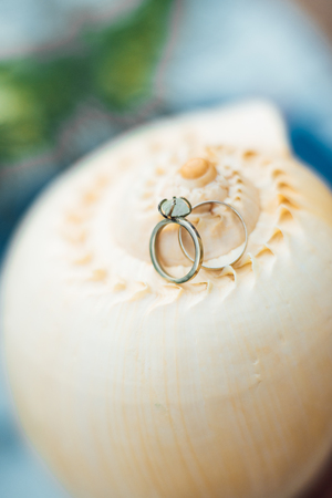 gold wedding rings on the sea shellの写真素材