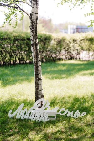 elegant wedding decorations made of natural flowers and green elementsの写真素材