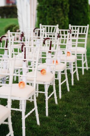 wedding ceremony in the woods among the trees on the green trackの写真素材