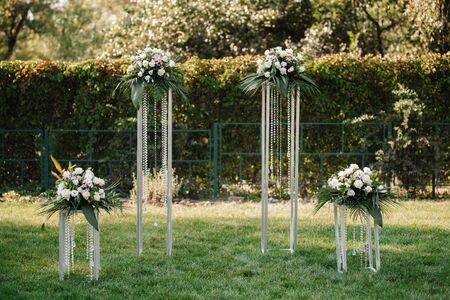 wedding ceremony in the woods among the trees on the green trackの写真素材