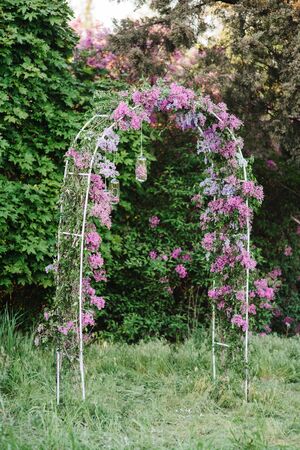 wedding ceremony in the woods among the trees on the green grassの写真素材