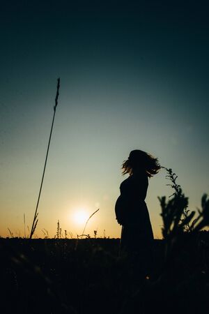 silhouettes of a happy young happy family against an orange sunset in the desertの写真素材
