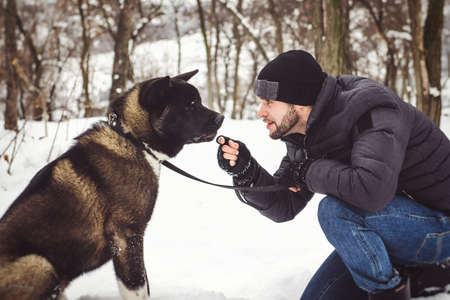 A man in a jacket and a knitted hat walks through a snowy forest with an American Akita dogの写真素材