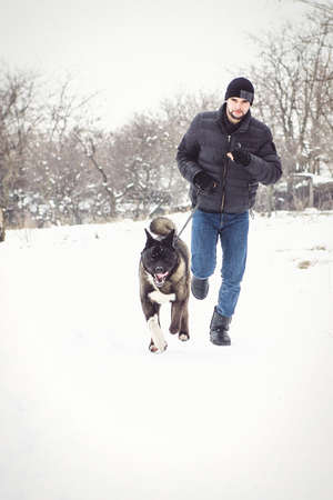 A man in a jacket and a knitted hat walks through a snowy forest with an American Akita dogの写真素材