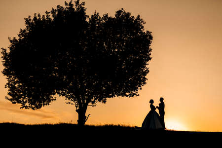 silhouettes of a happy young couple guy and girl on a background of orange sunset in the sand desertの写真素材