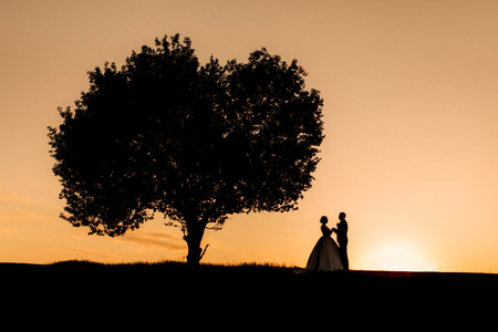silhouettes of a happy young couple guy and girl on a background of orange sunset in the sand desertの写真素材