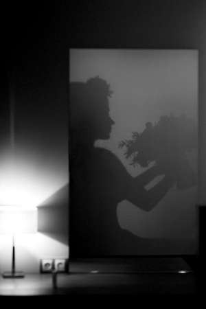 silhouette of a girl with a bouquet in her hands in the mirrorの写真素材