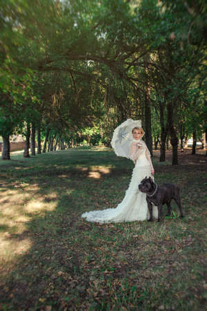 Girl in an old dress with ruffles and a big dark dogの写真素材