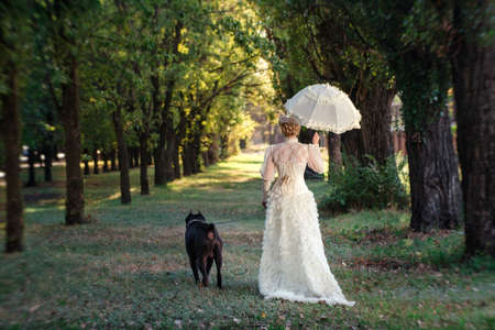 Girl in an old dress with ruffles and a big dark dogの写真素材