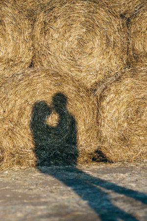 a guy with a girl on a summer walk in the field near round haystacksの写真素材