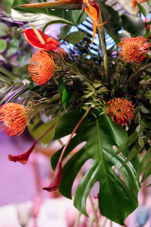 decoration of the banquet hall in multicolored colors of the Maracan styleの写真素材